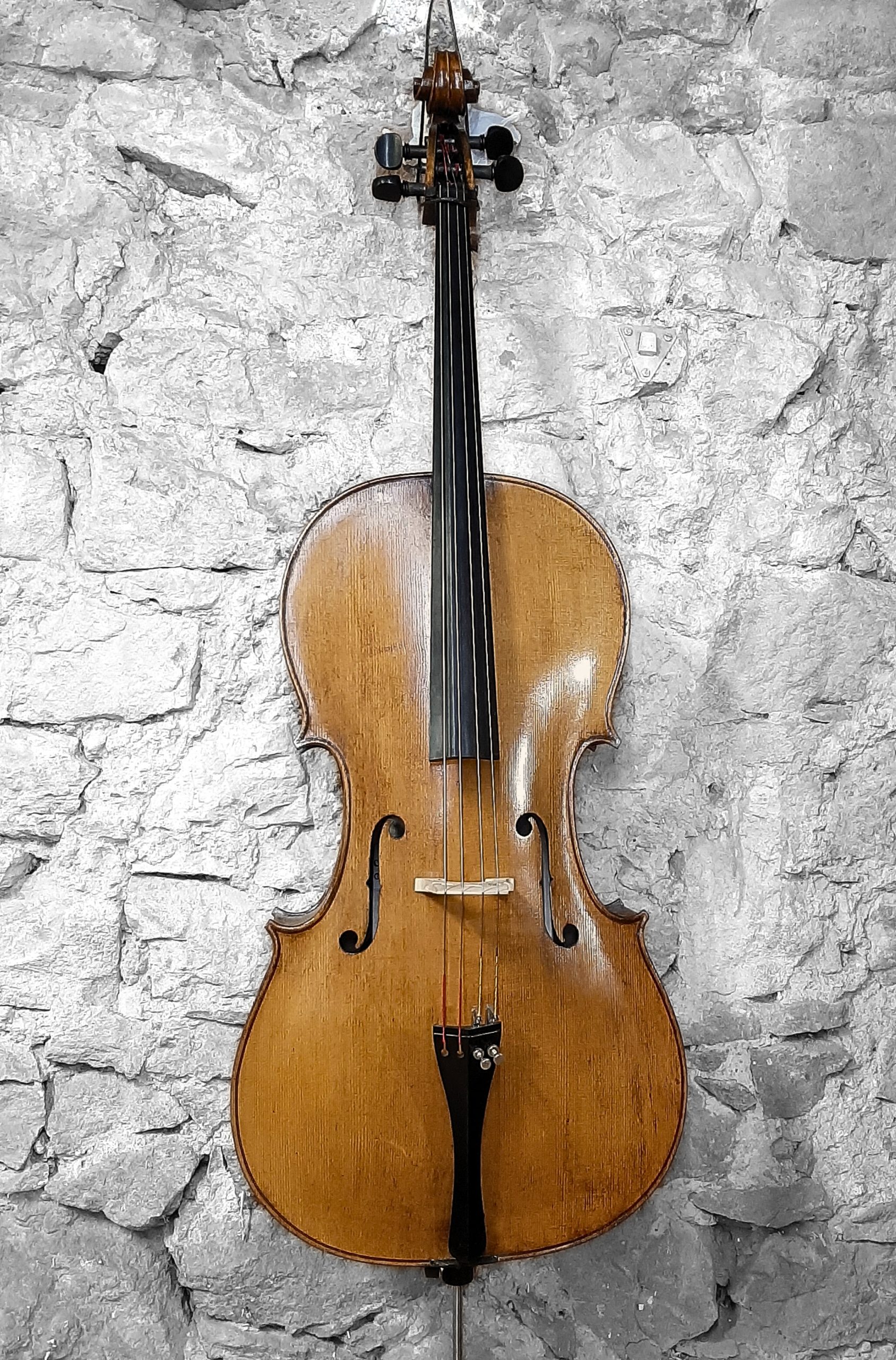 Violonchelo catalán MARIBELLI, 2023
