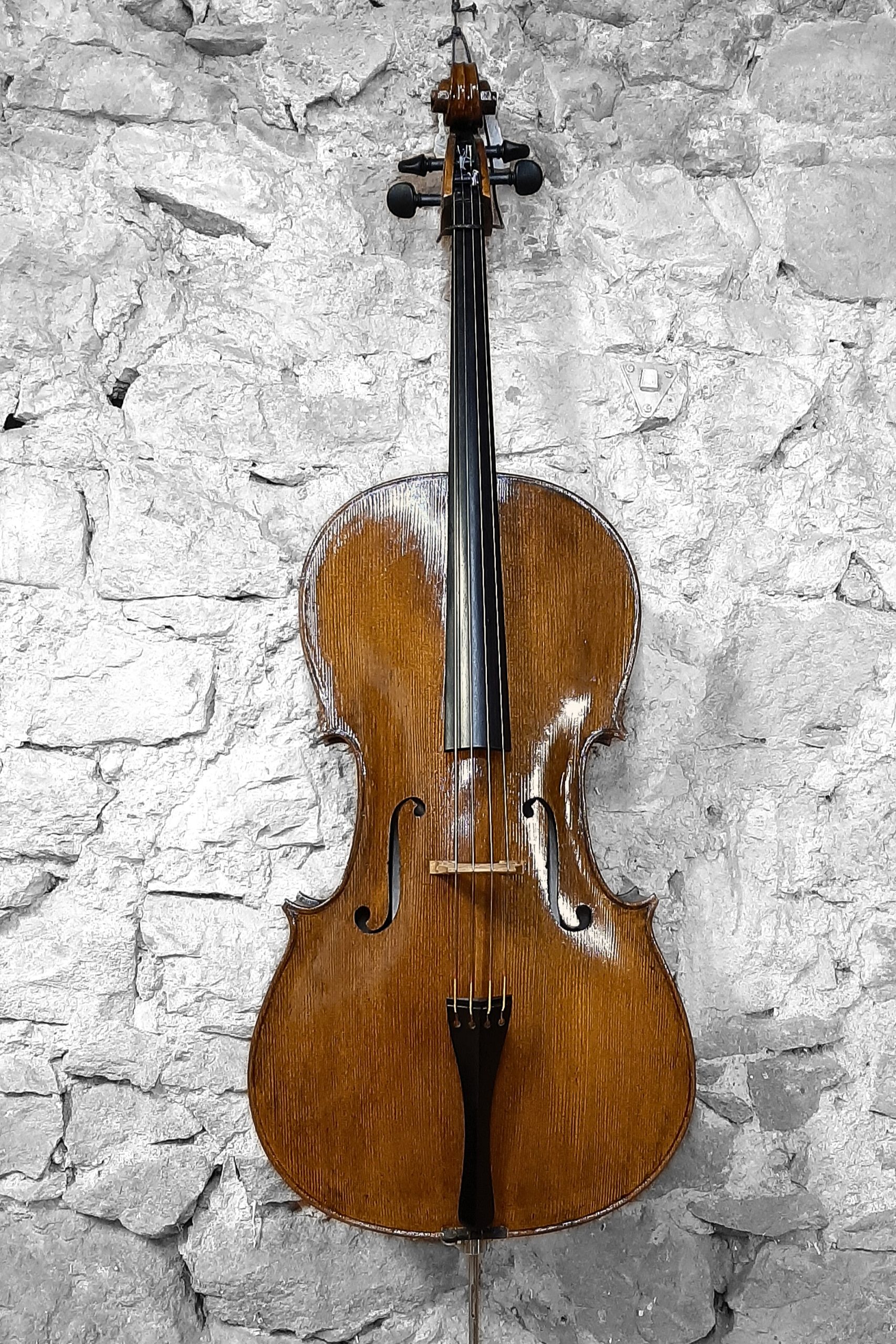 Violonchelo  catalán MARIBELLI, 2025